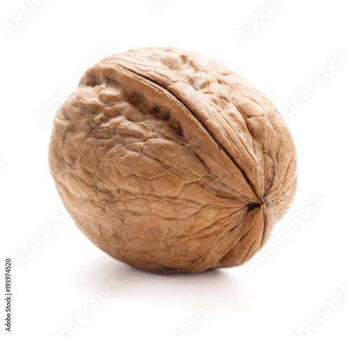single walnut in shell isolated on white background photo
