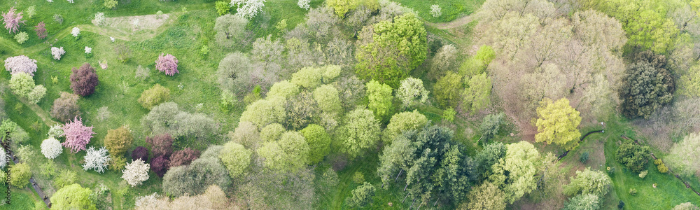 Aerial view of a parc in Paris