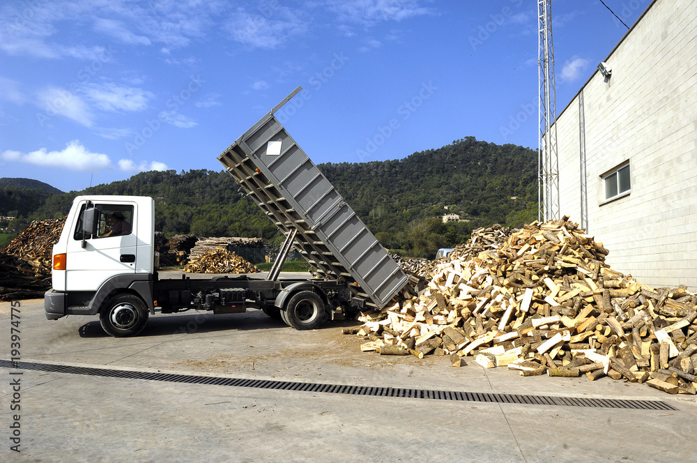 Obraz premium an outside firewood industry