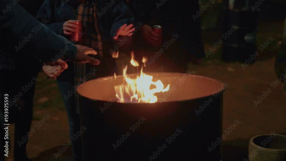 Group of friends warm up, talk and chat, hang out during bbq party or picnic outdoors, drink beer and enjoy summertime adventures near camp fire. responsible to nature