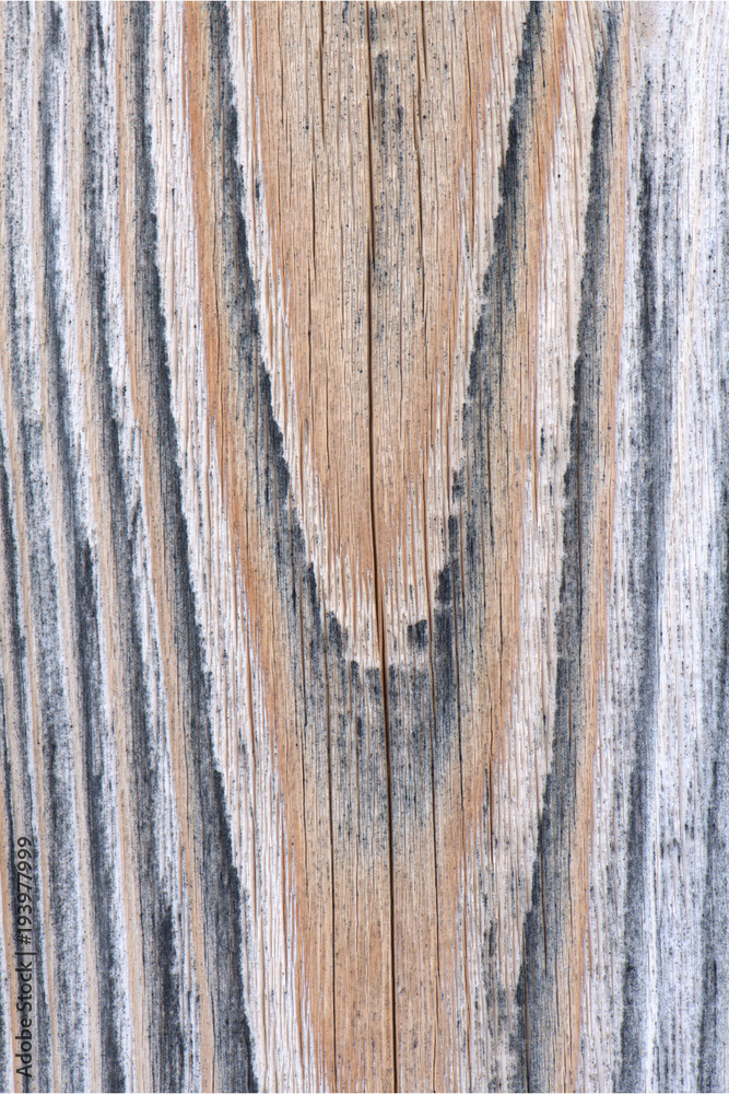 Fototapeta premium Holzwand verwaschen