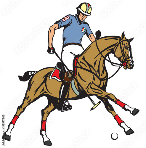 Fototapeta Naklejka Na Ścianę i Meble -  equestrian polo sport . Player riding a pony horse and holding a mallet stick to hit a ball .The  horse in gallop . Vector illustration