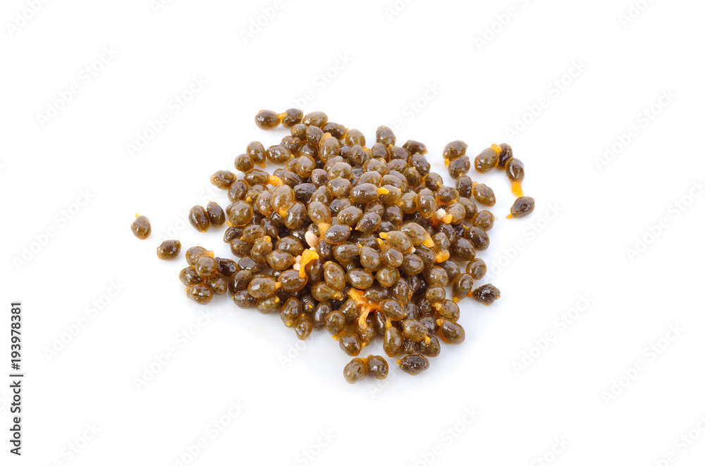 papaya seed isolated on white background papaya seed isolated on white background
