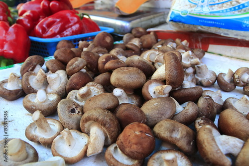 Fresh mushrooms for sale in the vegetable market