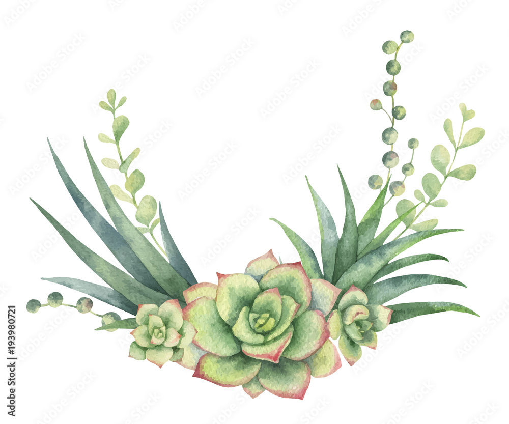 Watercolor vector wreath of cacti and succulent plants isolated on ...
