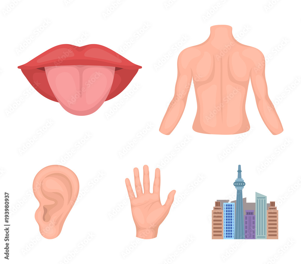 Back of the person, mouth, hand, ear. Part of the body set collection icons in cartoon style vector symbol stock illustration web. Stock Vector | Adobe Stock Back of the person, mouth, hand, ear. Part of the body set collection icons in cartoon style vector symbol stock illustration web. Stock Vector | Adobe Stock
