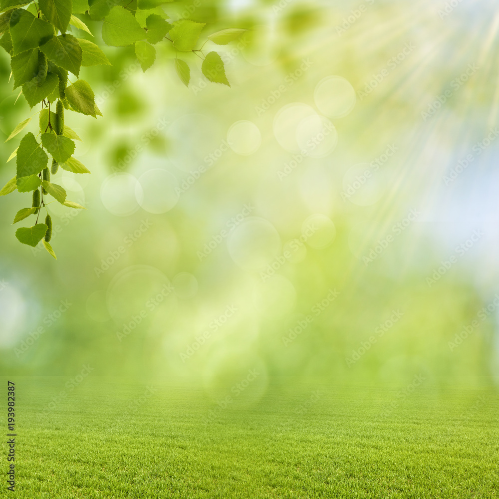 Obraz premium Funny seasonal backgrounds with bright foliage and beauty bokeh