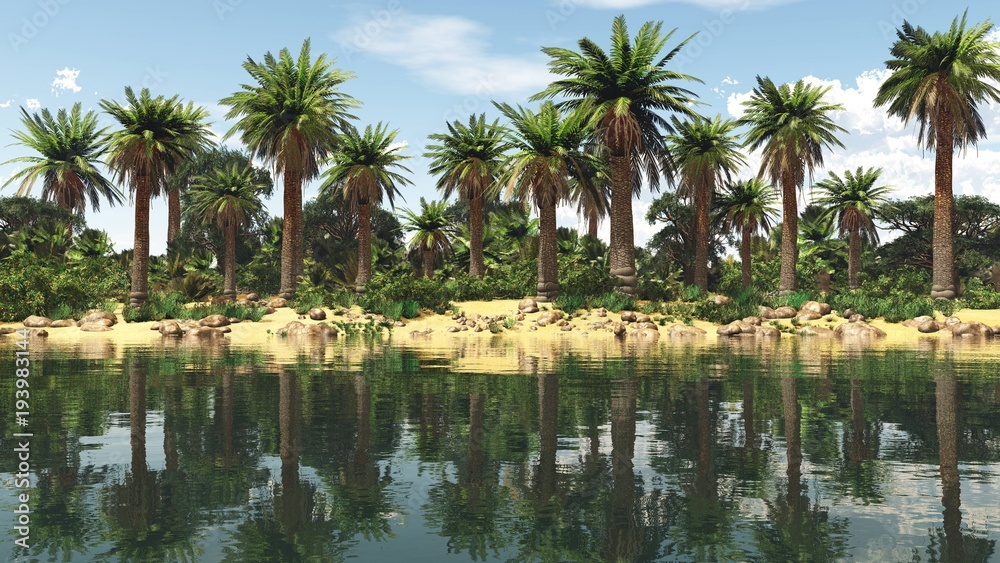 Oasis, a beautiful tropical coast with palm trees