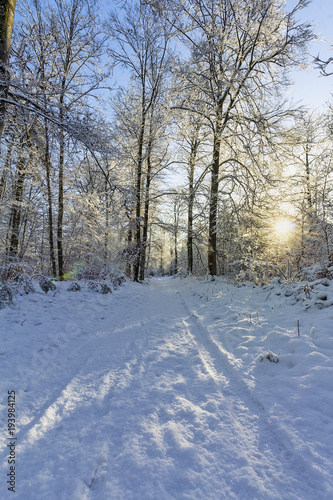 Soleil levant en Forêt de Fontainebleau sous la neige