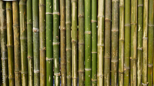 bamboo wall background texture pattern brown nature garden house wallpaper line  