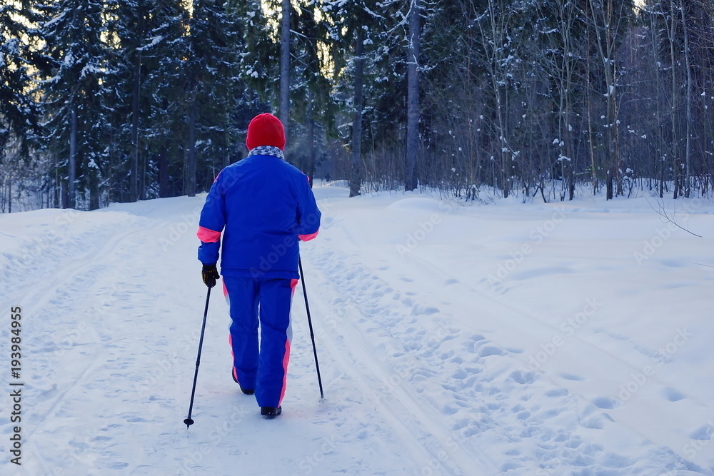 Nordic walking.an elderly woman leads a healthy lifestyle. Winter Park snow forest.