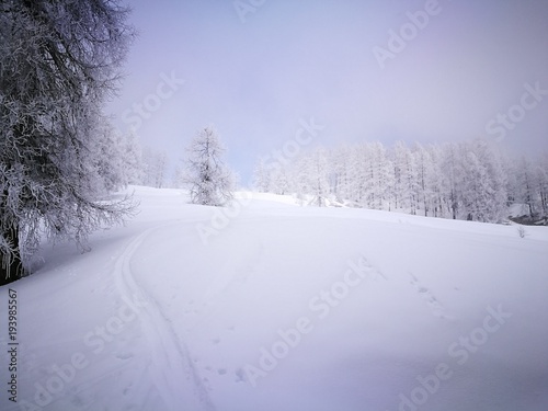 Skitour im Nebel Wald © driendl