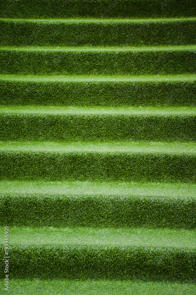 Green grass stair step,Top view green grass step stairs for interior