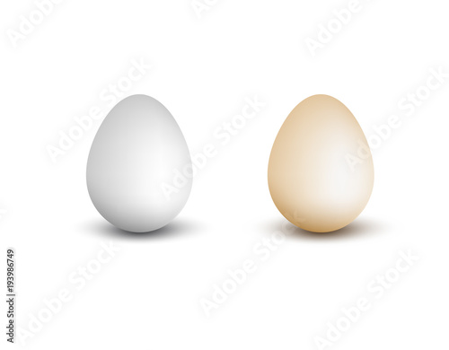 Vector realistic eggs