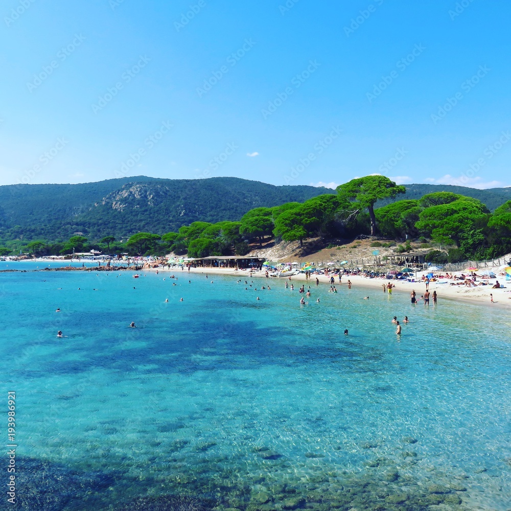 Sandy palombaggia beach in Corsica island in mediterranean