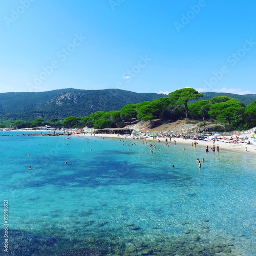Sandy palombaggia beach in Corsica island in mediterranean