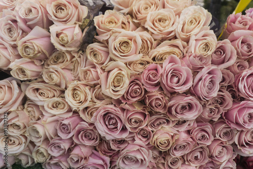 A collection or roses at a flower market