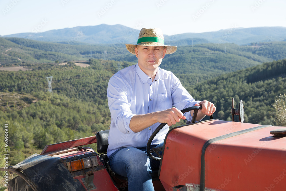 Man on tractor in vineyard