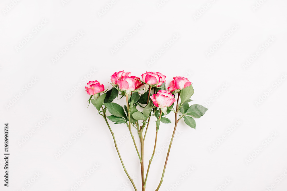 Red rose flowers branch on white background. Flat lay, top view minimal spring blog hero header concept.