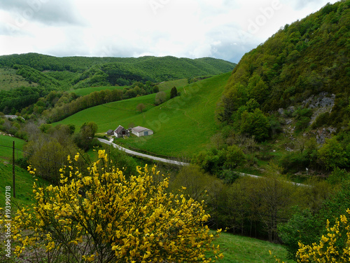 Paisaje navarro. Alrededores de Orbaiceta photo