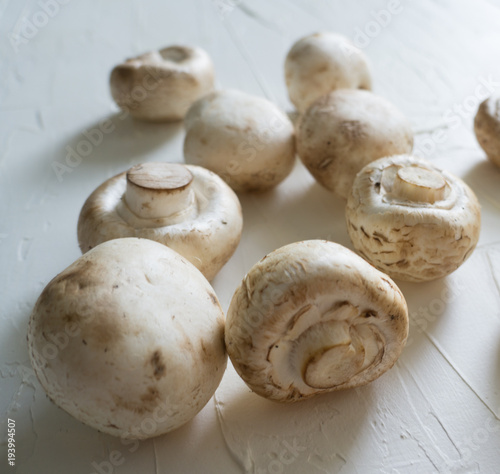 Raw champignons on white background top view