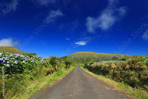 Mountain road on Flores Island, Azores, Portugal, Europe
