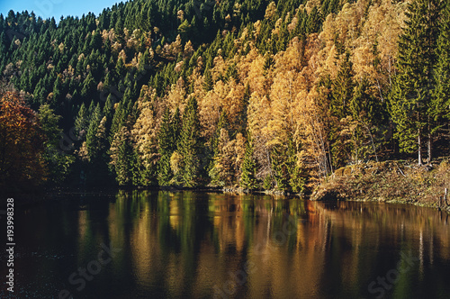 Fototapeta Naklejka Na Ścianę i Meble -  Autumn Forrest reflection in the lake in the National Park Harz