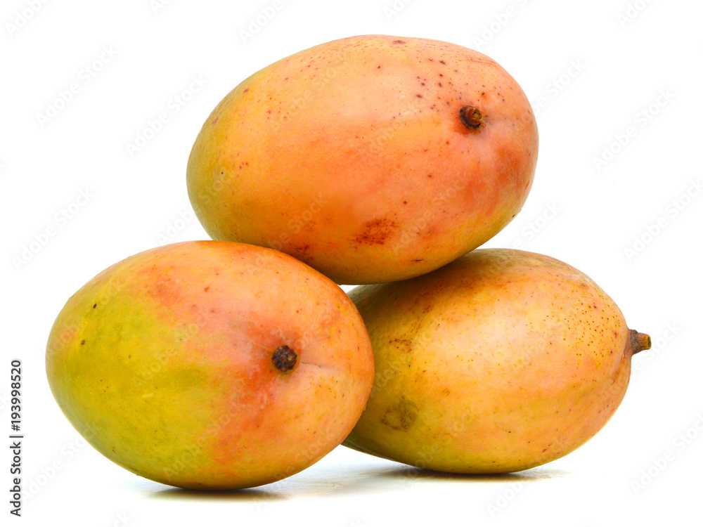 Mango fruit isolated on white background. Mango fruit isolated on white background.