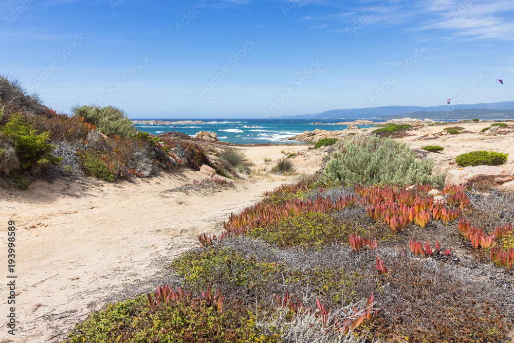 plage de la tonnara, corse du sud