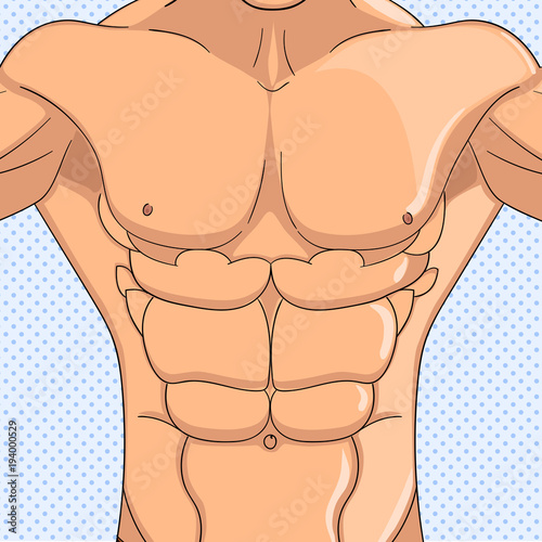 Bodybuilder, anatomy of the abdominal muscles man. Object pop art background. Vector illustration. Imitation comic style
