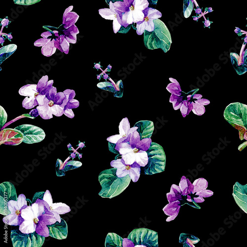 Wallpaper Mural Seamless pattern of watercolor Saintpaulia flowers. Torontodigital.ca