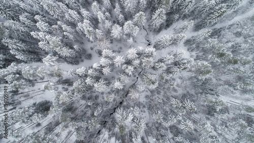 Aerial view of frozen river bend and boreal forest covered by snow