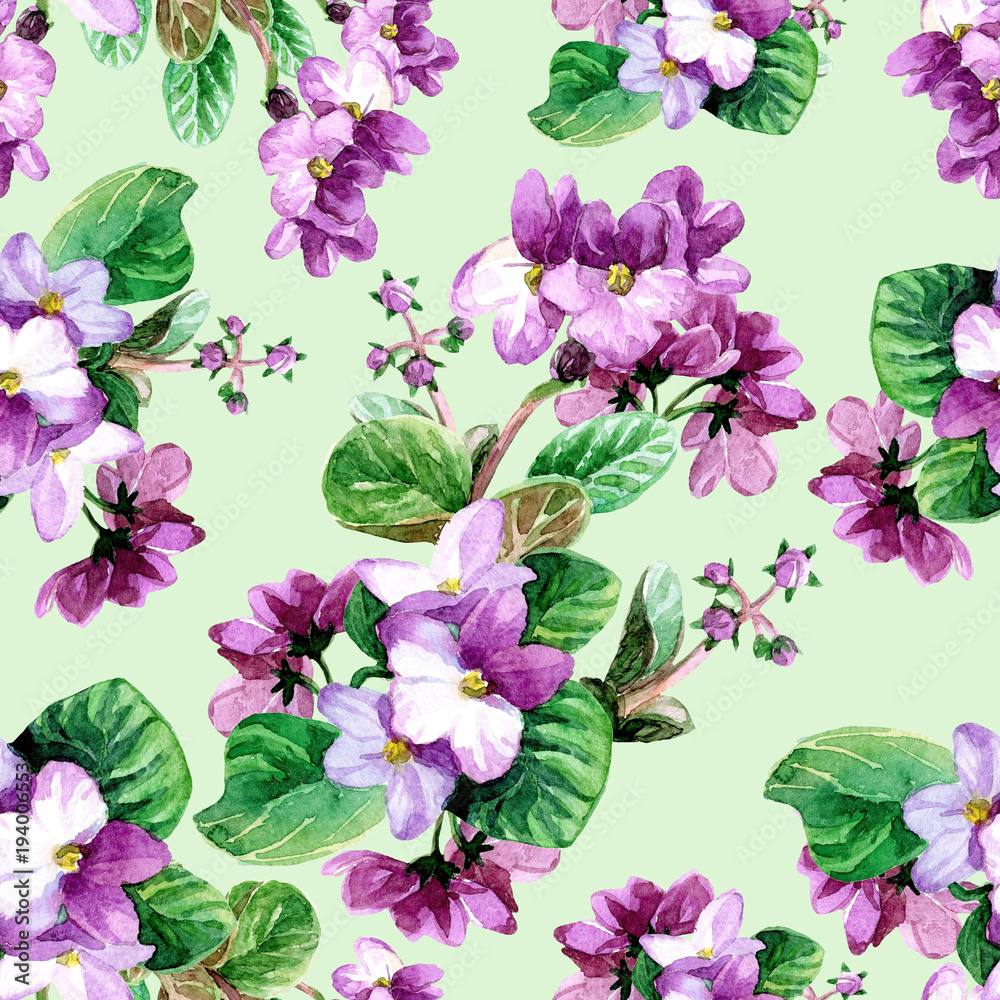 Seamless pattern of watercolor Saintpaulia flowers.