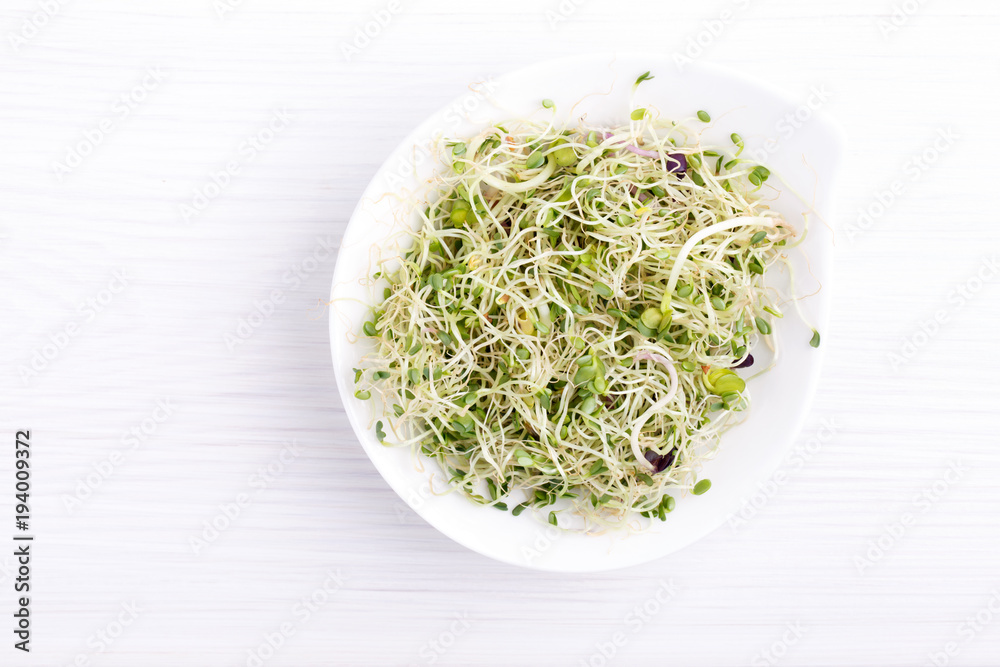 Mix of food sprouts - alfalfa, radish, clover in a bowl. Micro greens on white. Healthy eating. Top view. Mix of food sprouts - alfalfa, radish, clover in a bowl. Micro greens on white. Healthy eating. Top view.