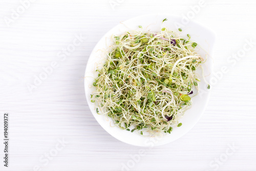 Mix of food sprouts - alfalfa, radish, clover in a bowl. Micro greens on white. Healthy eating. Top view.