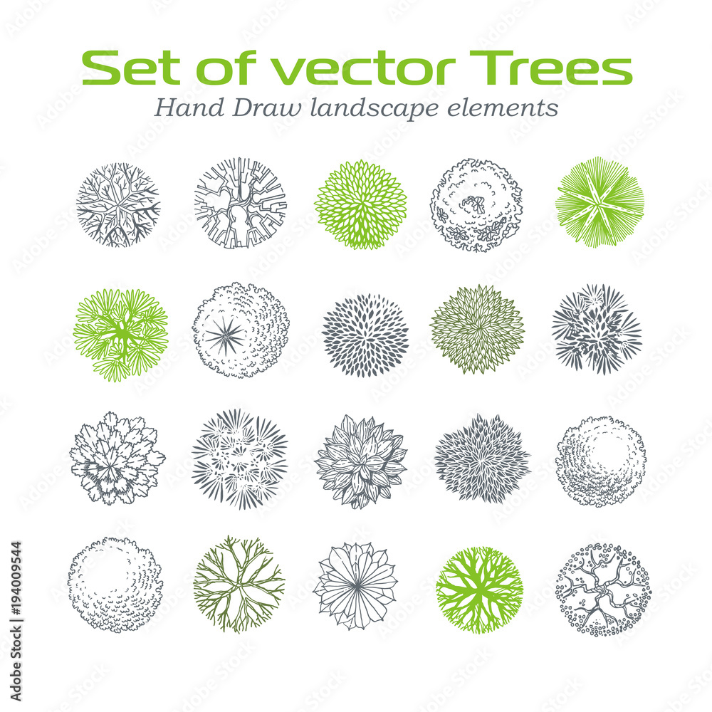 Different plants and trees vector set for landscape design - obrazy, fototapety, plakaty 