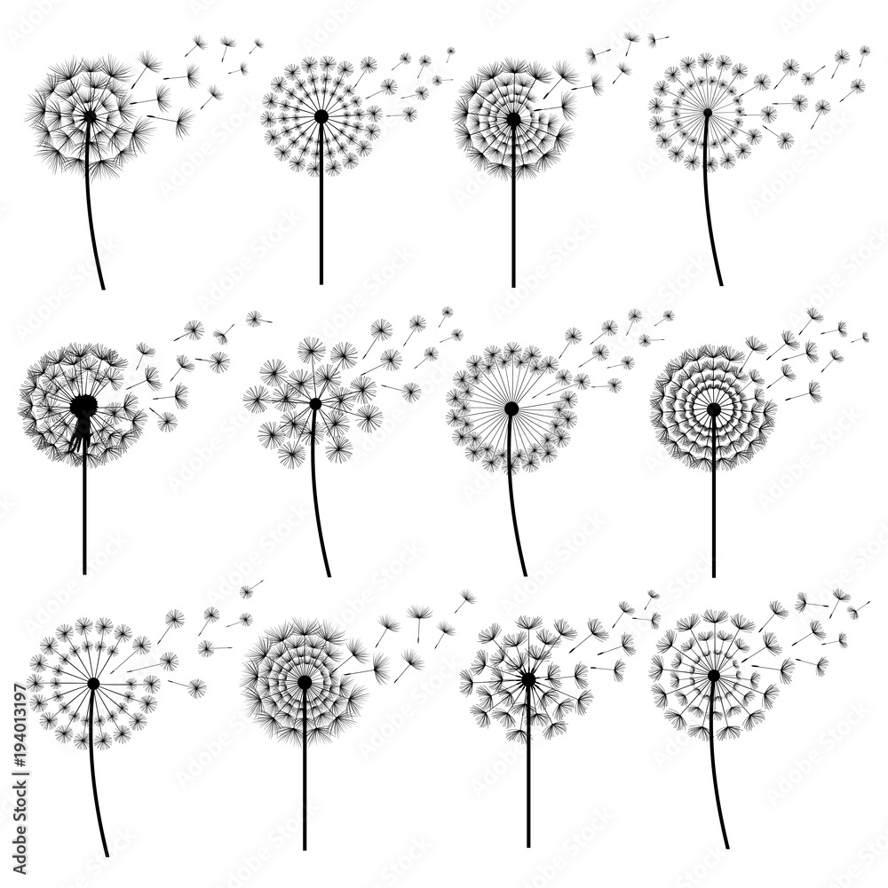 Fototapeta premium Set stylizowani dandelions dmucha odosobnionego