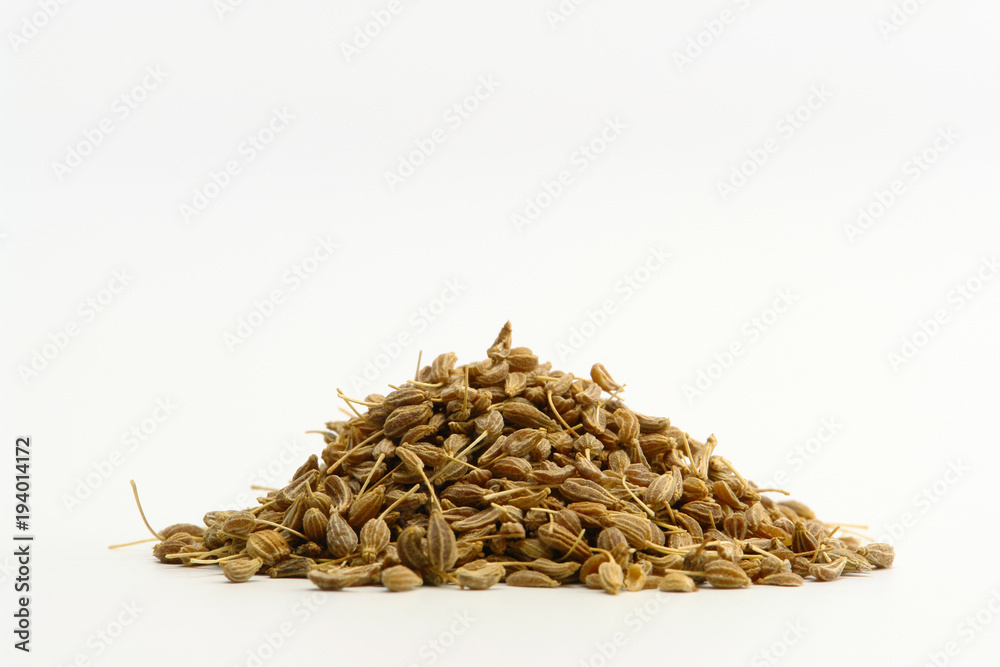 Anise Seed Anise Seed