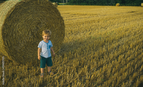 Cute little kid boy in wheat field