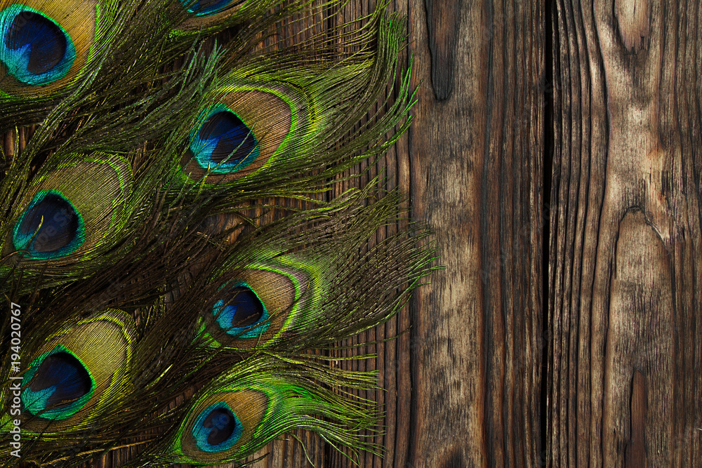 Fototapeta premium Peacock feathers decorate a vertically dark wooden brown Board