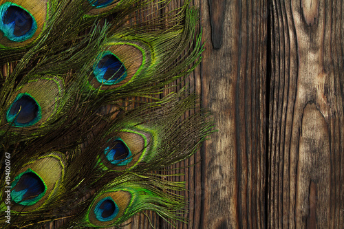 Peacock feathers decorate a vertically dark wooden brown Board © Elena Fetisova