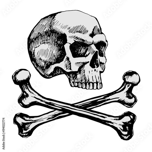 Skull and Bones