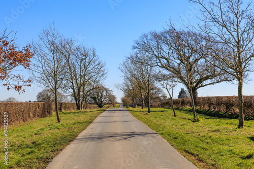 A Country Road