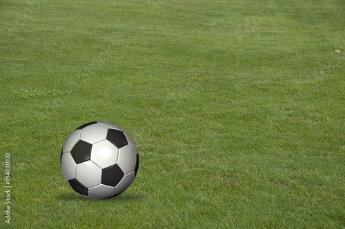 Ball liegt auf einem Fussballrasen