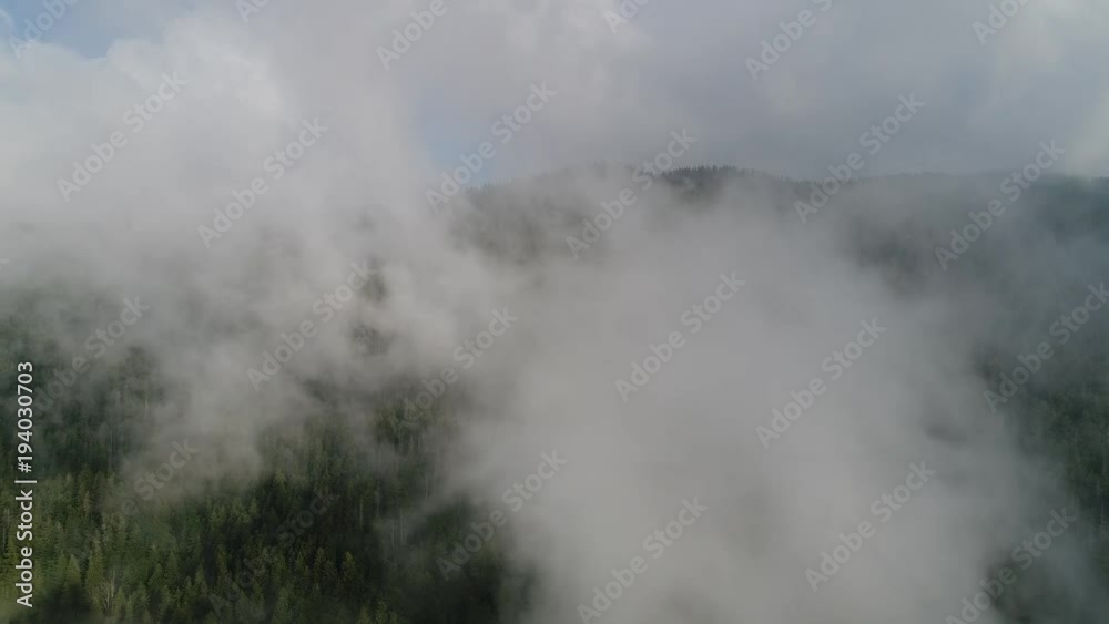Flying over the high mountains with pine forest in beautiful clouds, Carpathian, Ukraine. Aerial view. From above. 4k video Flying over the high mountains with pine forest in beautiful clouds, Carpathian, Ukraine. Aerial view. From above. 4k video