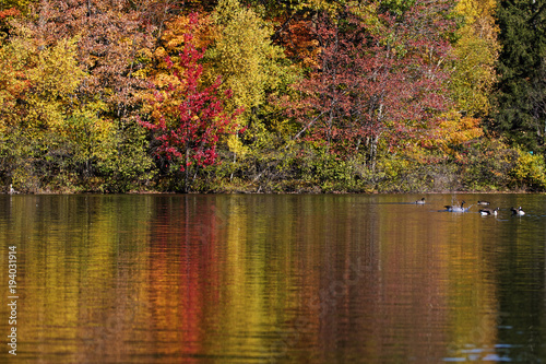 Fototapeta Naklejka Na Ścianę i Meble -  Fall colors in Quebec, Canada 