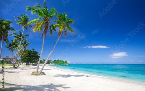 panoramic tropical beach with coconut palm