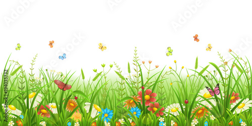 Meadow green grass with flowers and butterflies