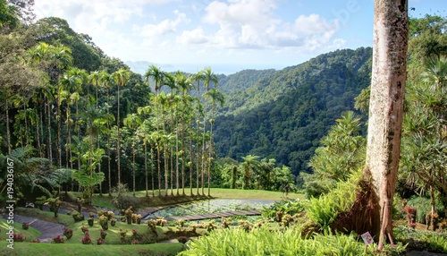 jardin exotique en Martinique photo