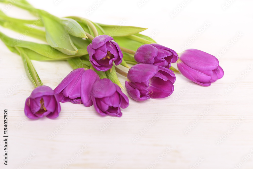 Bouquet of violet tulip flowers on white wooden background with copy space Bouquet of violet tulip flowers on white wooden background with copy space